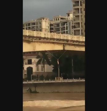 男子坐在橋上的電纜上