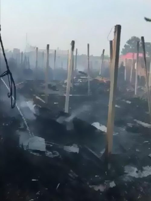 ������Ȼ�@����������ԭ����������